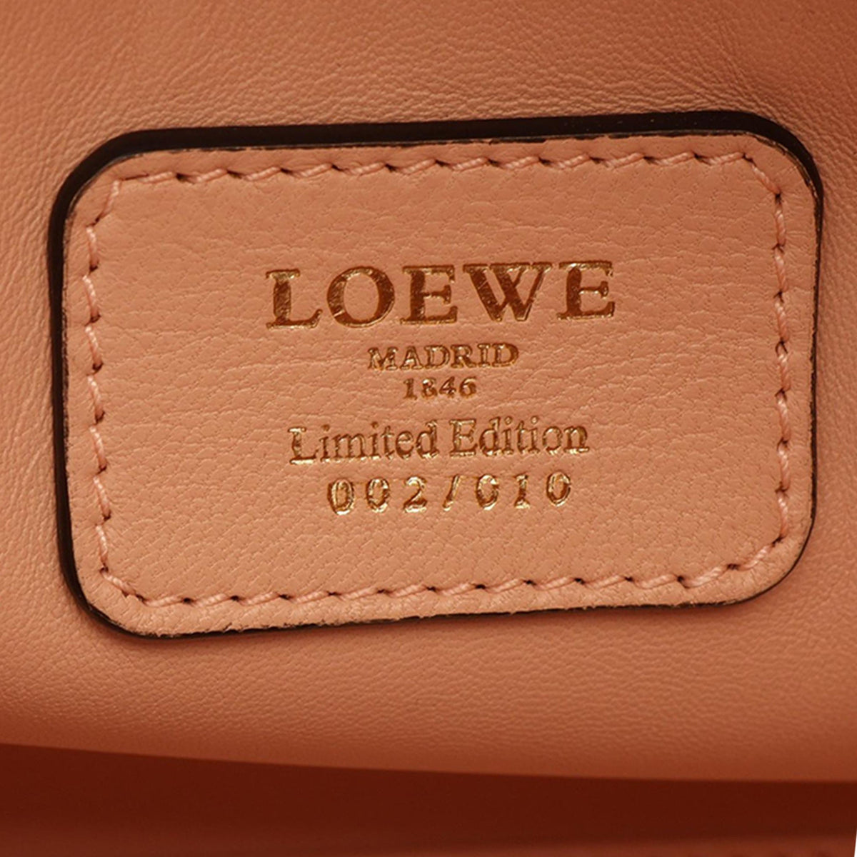 LOEWE Tricolor Leather Amazona 28 — Pink