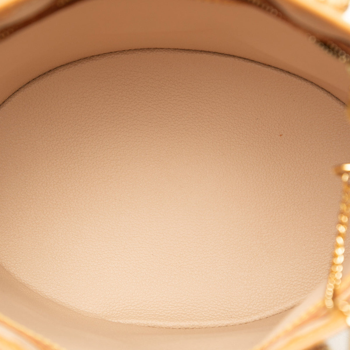 Louis Vuitton Monogram Petit Bucket