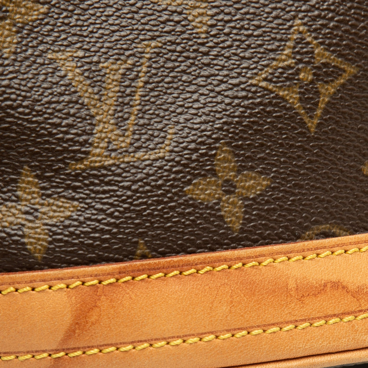 Louis Vuitton Monogram Petit Bucket