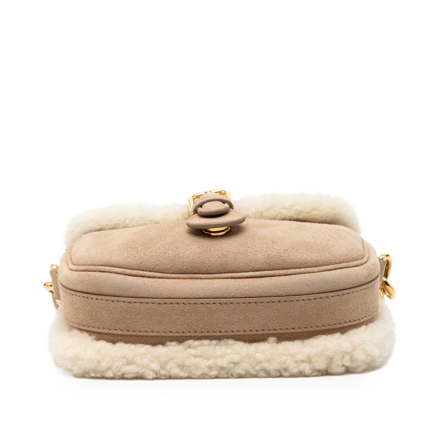 Dior Small Suede Shearling Bobby Crossbody