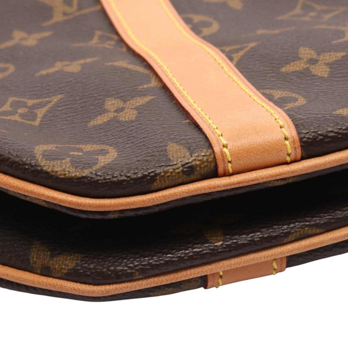 Louis Vuitton Monogram Sac Shopping
