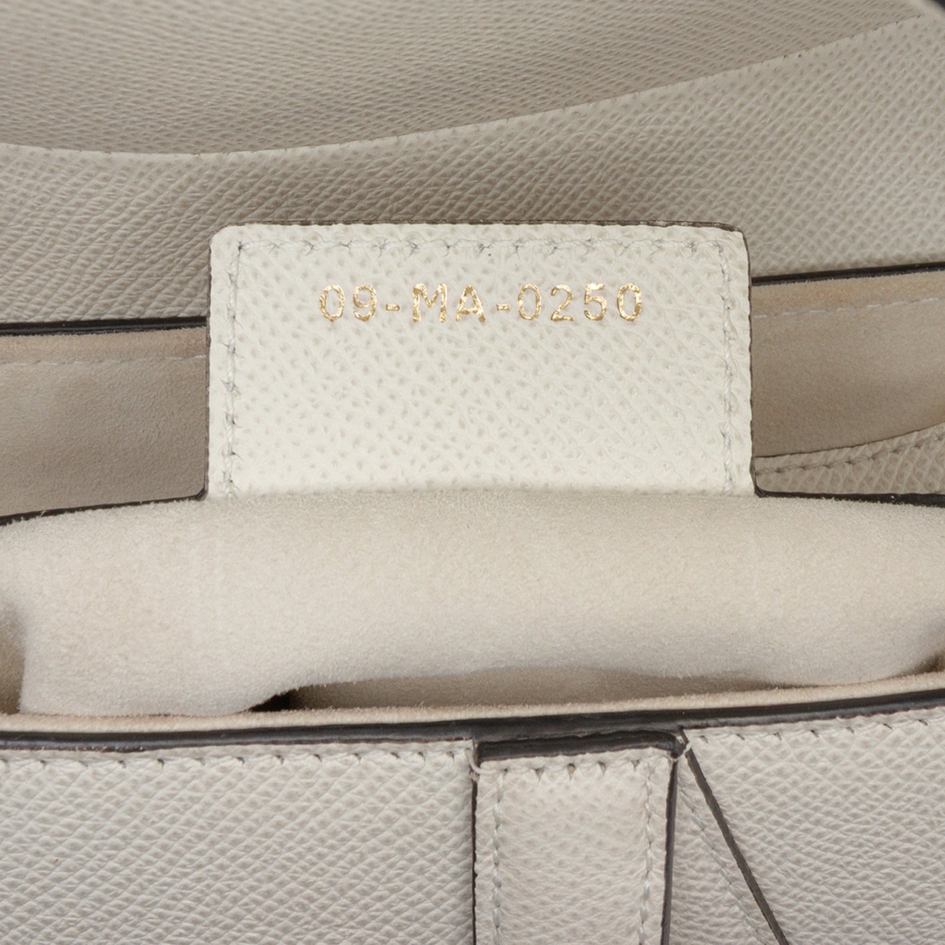 Dior Grained Calfskin Saddle Bag