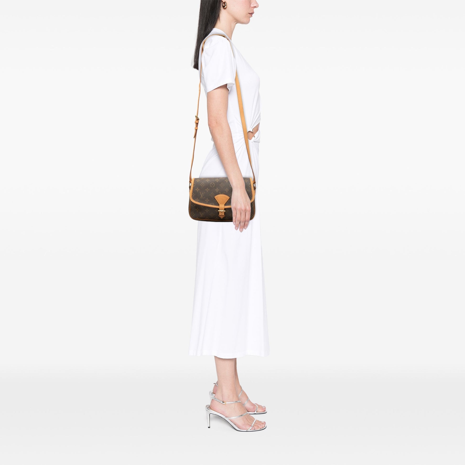 Louis Vuitton Monogram Sologne