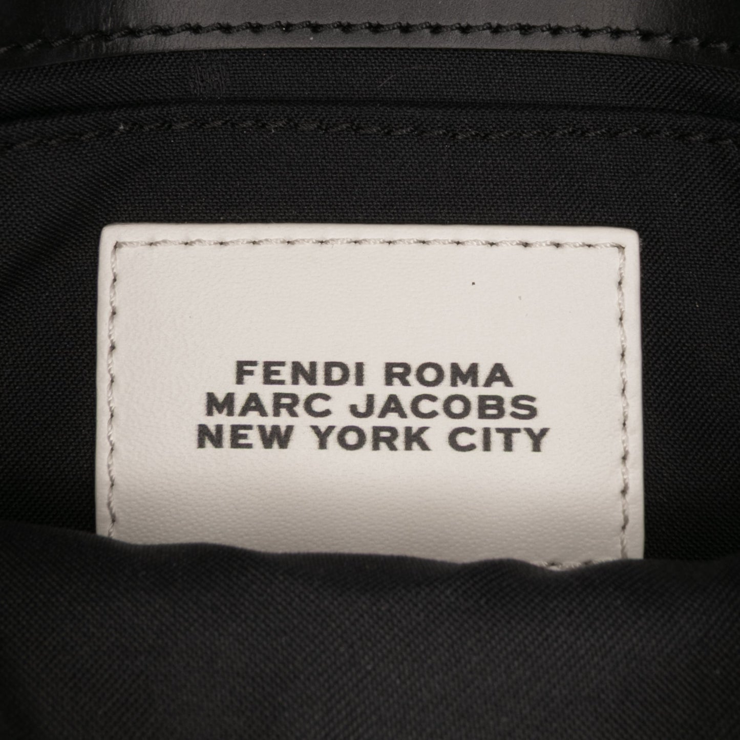 Fendi Marc Jacobs Nappa Vitello King Logo Print Baguette Phone Pouch Satchel