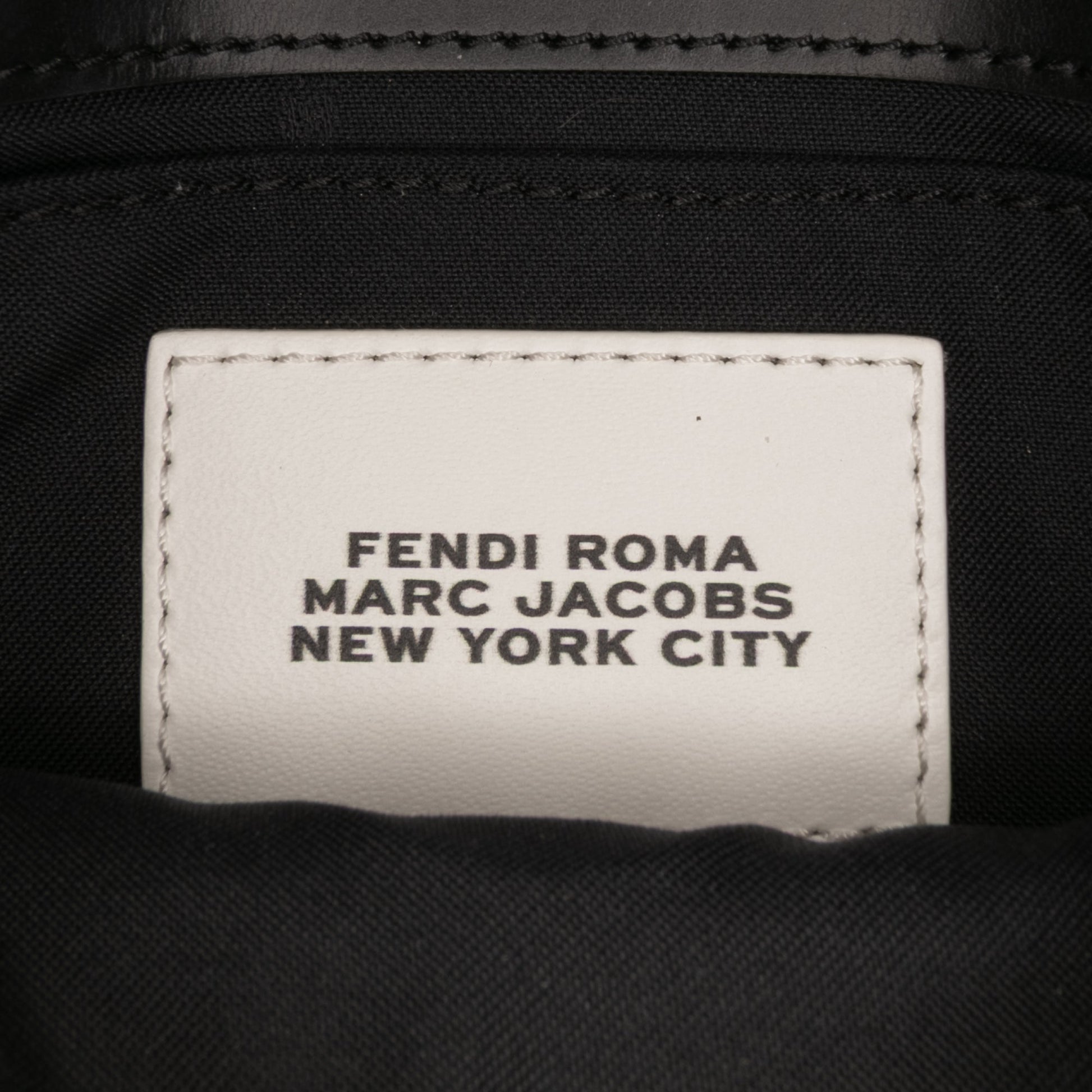 Fendi Marc Jacobs Nappa Vitello King Logo Print Baguette Phone Pouch Satchel