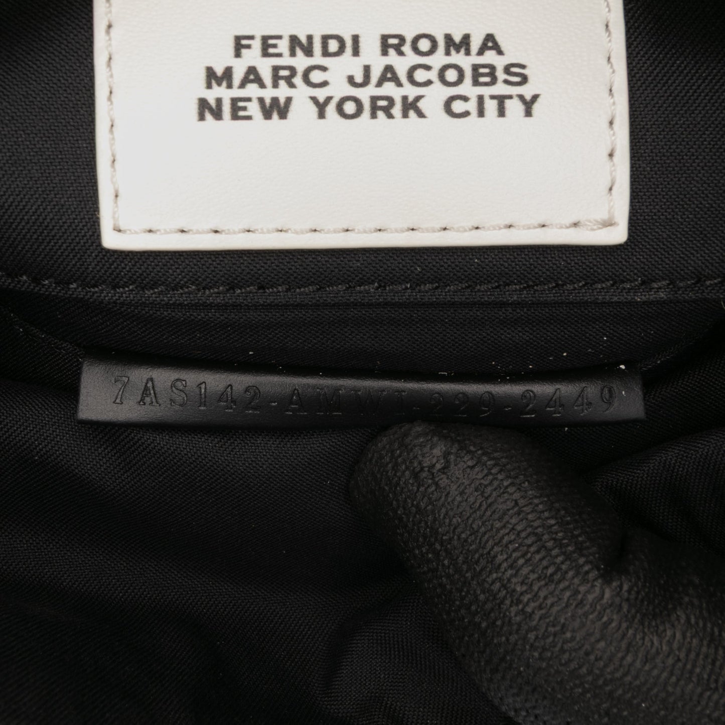 Fendi Marc Jacobs Nappa Vitello King Logo Print Baguette Phone Pouch Satchel
