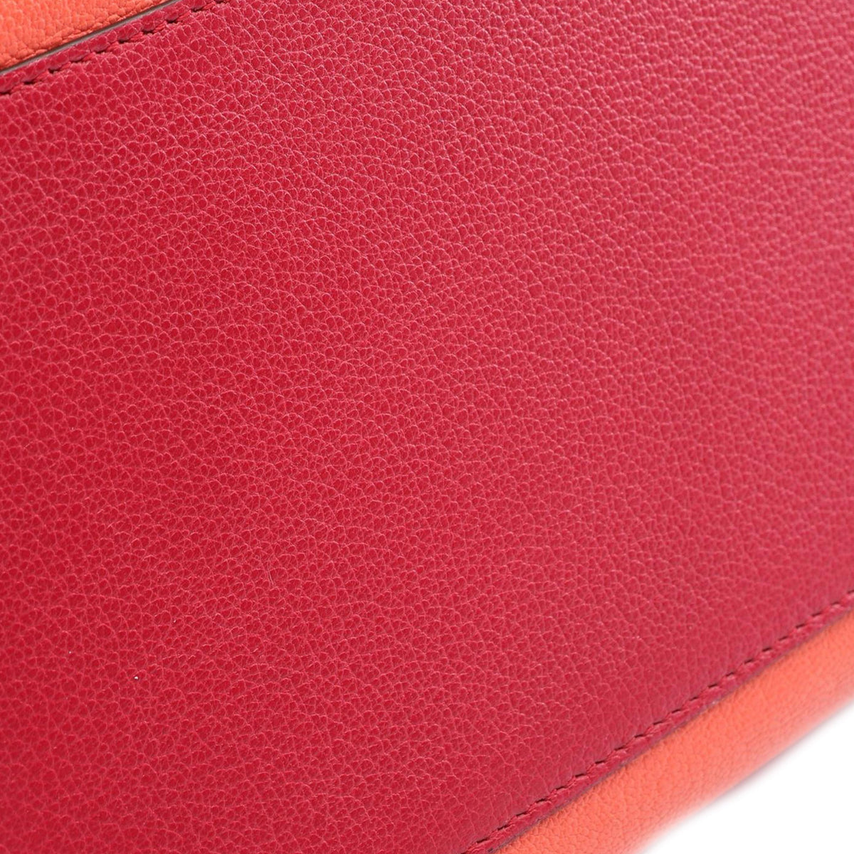 LOEWE Tricolor Goatskin Amazona 36 — Orange