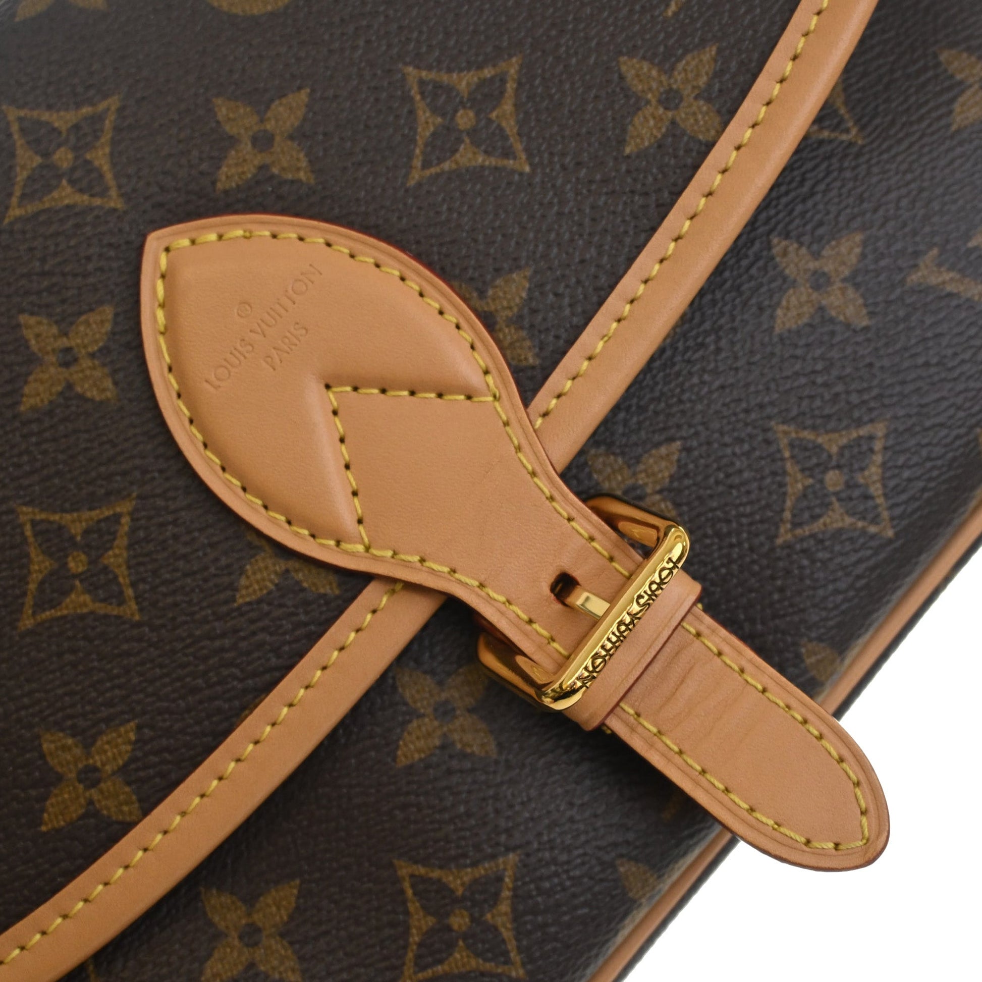 Louis Vuitton Monogram Diane