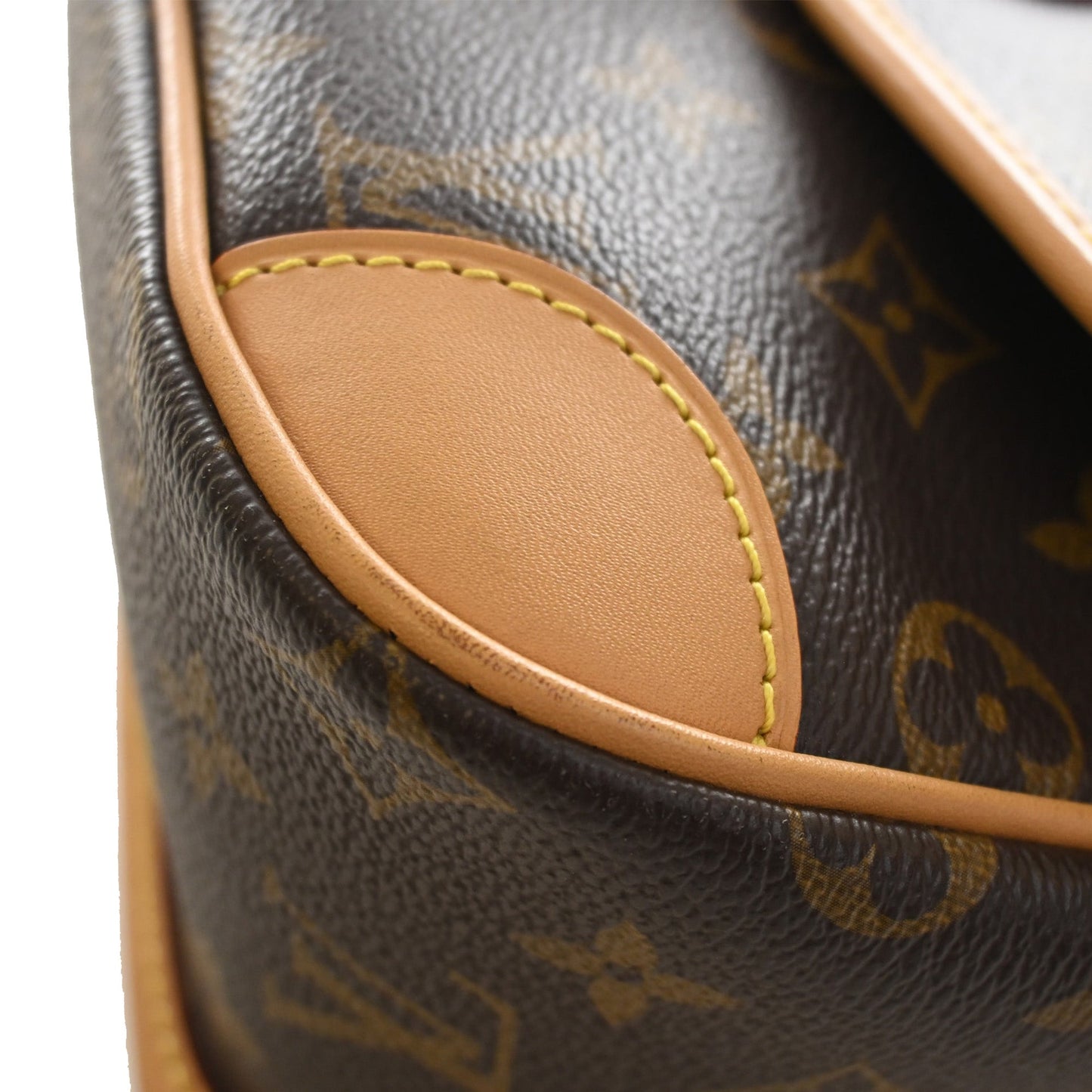 Louis Vuitton Monogram Diane