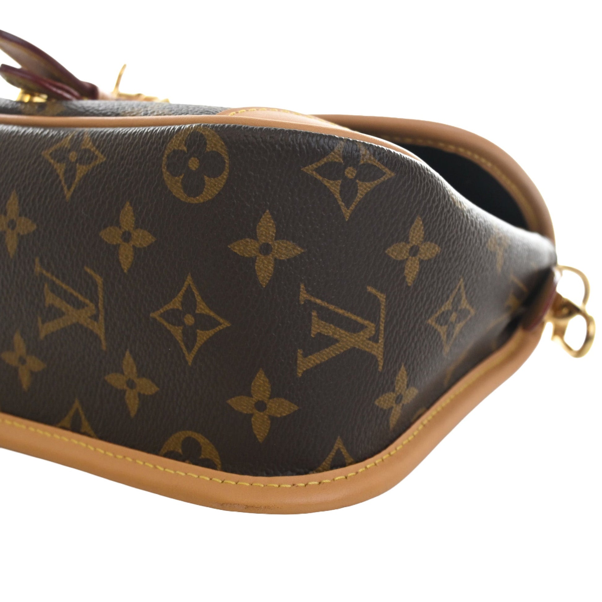 Louis Vuitton Monogram Diane