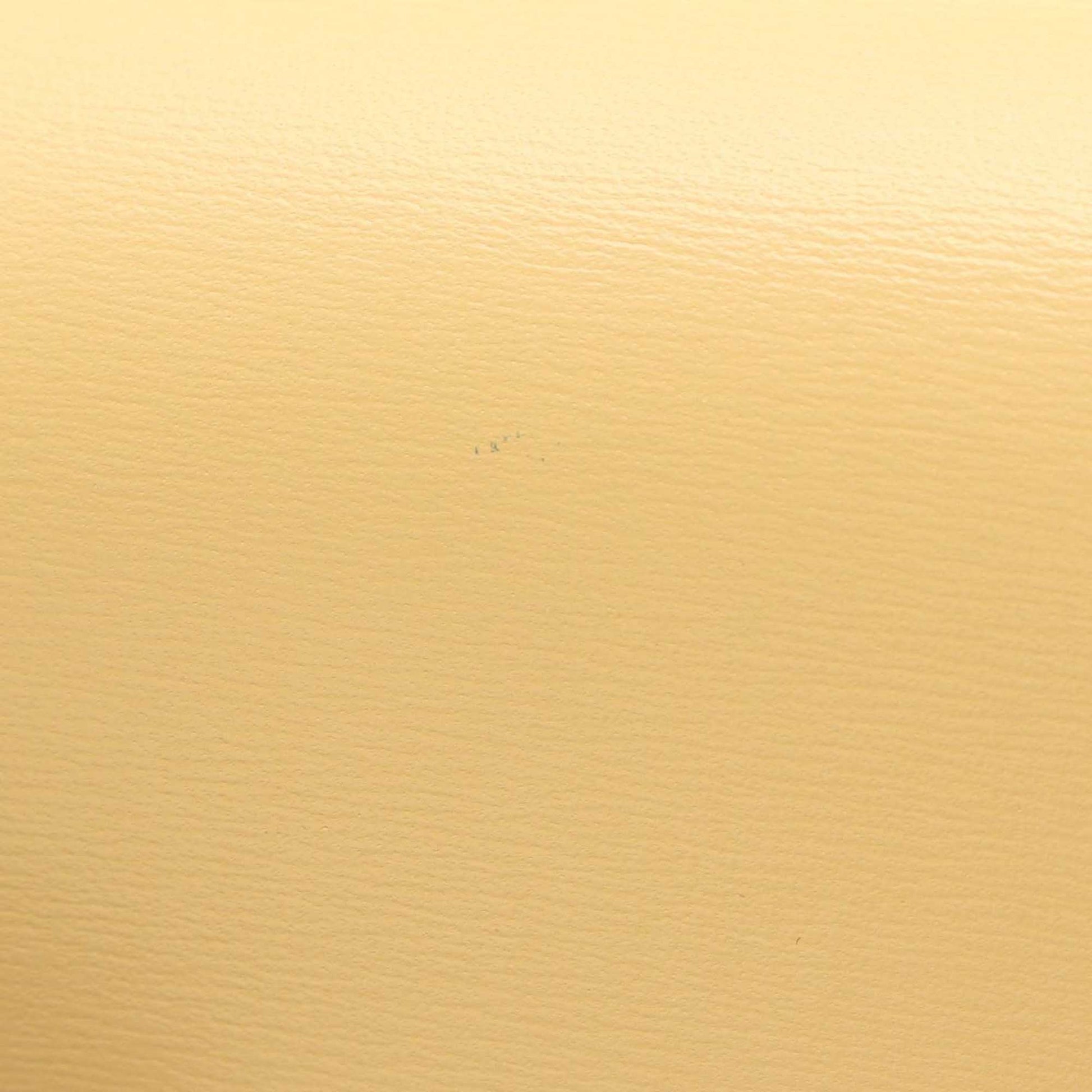 Celine Mini Shiny Calfskin Triomphe Crossbody