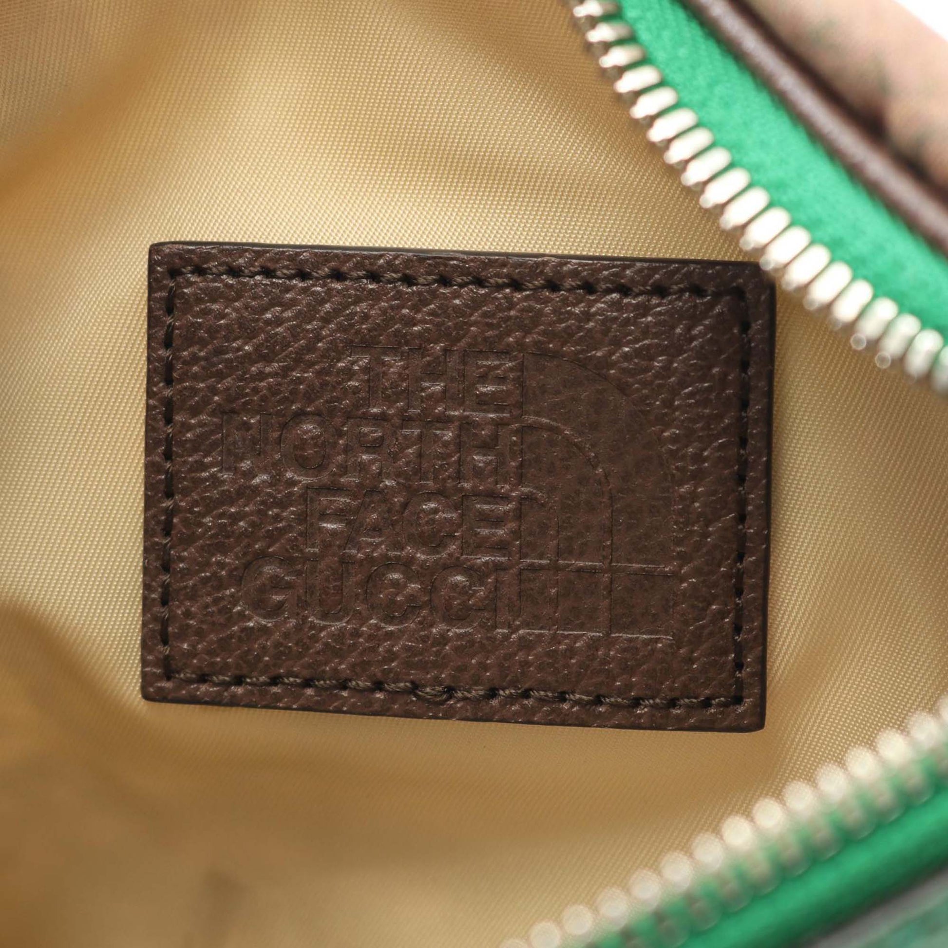Gucci The North Face Econyl Belt Bag