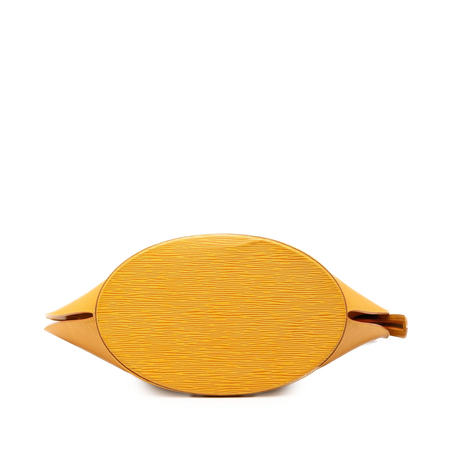Louis Vuitton Epi Saint Jacques PM Long Strap