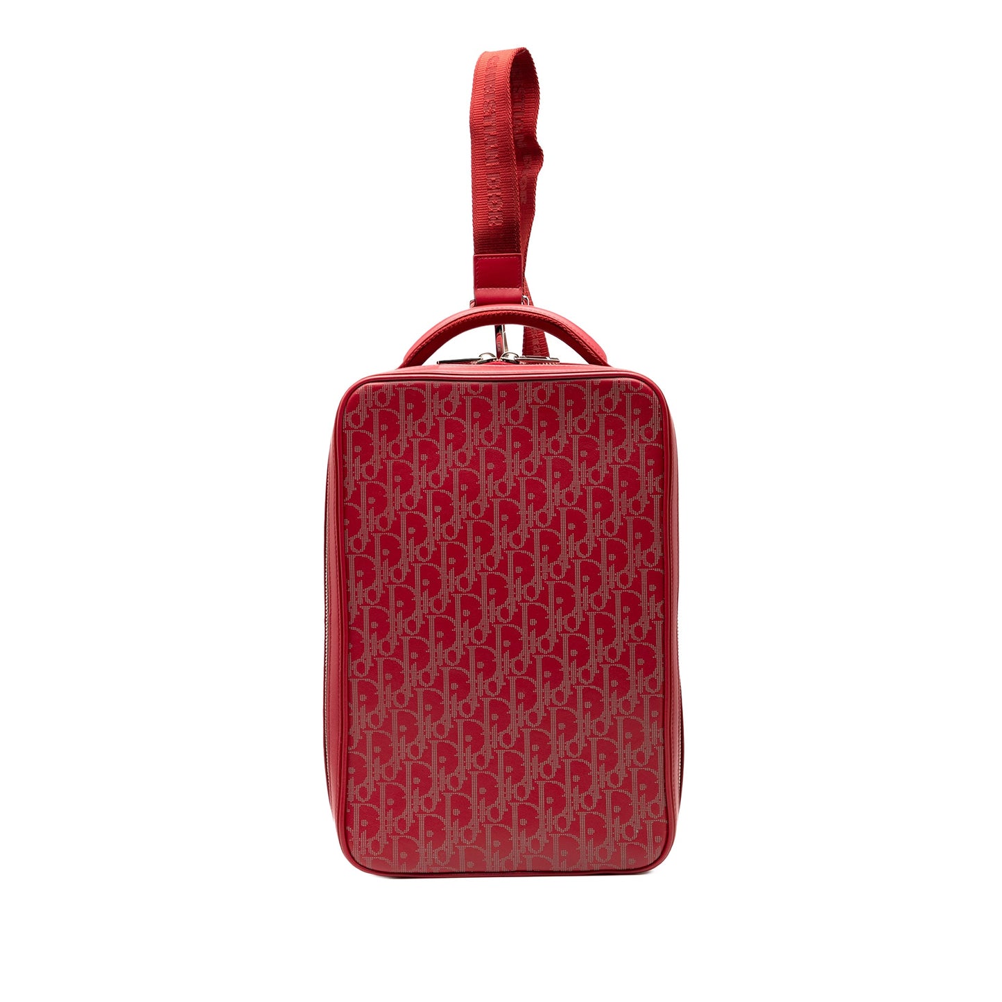 Dior Oblique Perforated Calfskin Galaxy World Tour Shoe Case