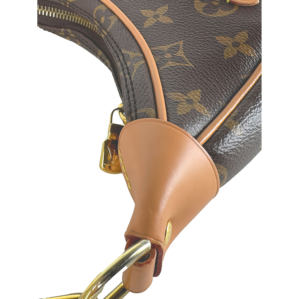 Louis Vuitton Monogram Loop — Brown