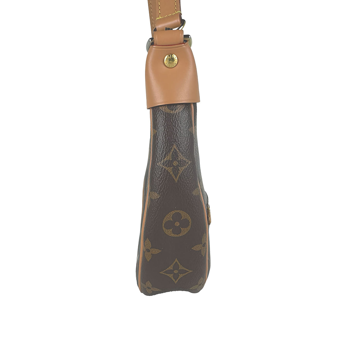 Louis Vuitton Monogram Loop — Brown