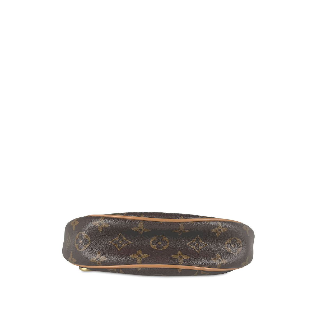 Louis Vuitton Monogram Loop — Brown