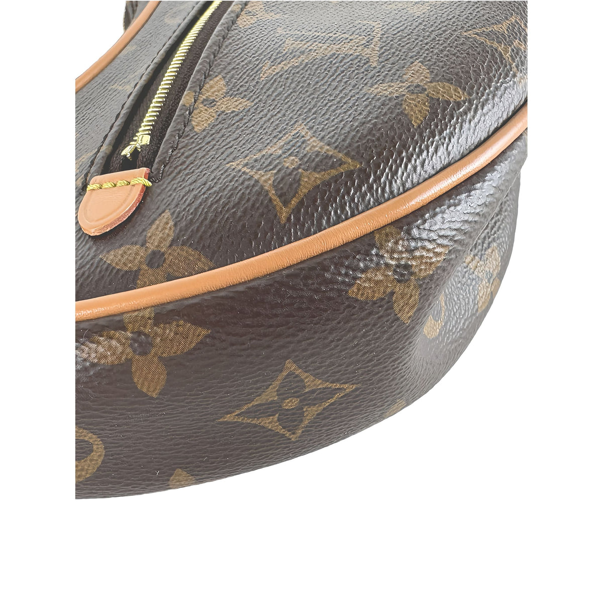 Louis Vuitton Monogram Loop — Brown
