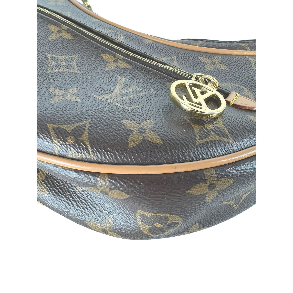 Louis Vuitton Monogram Loop — Brown