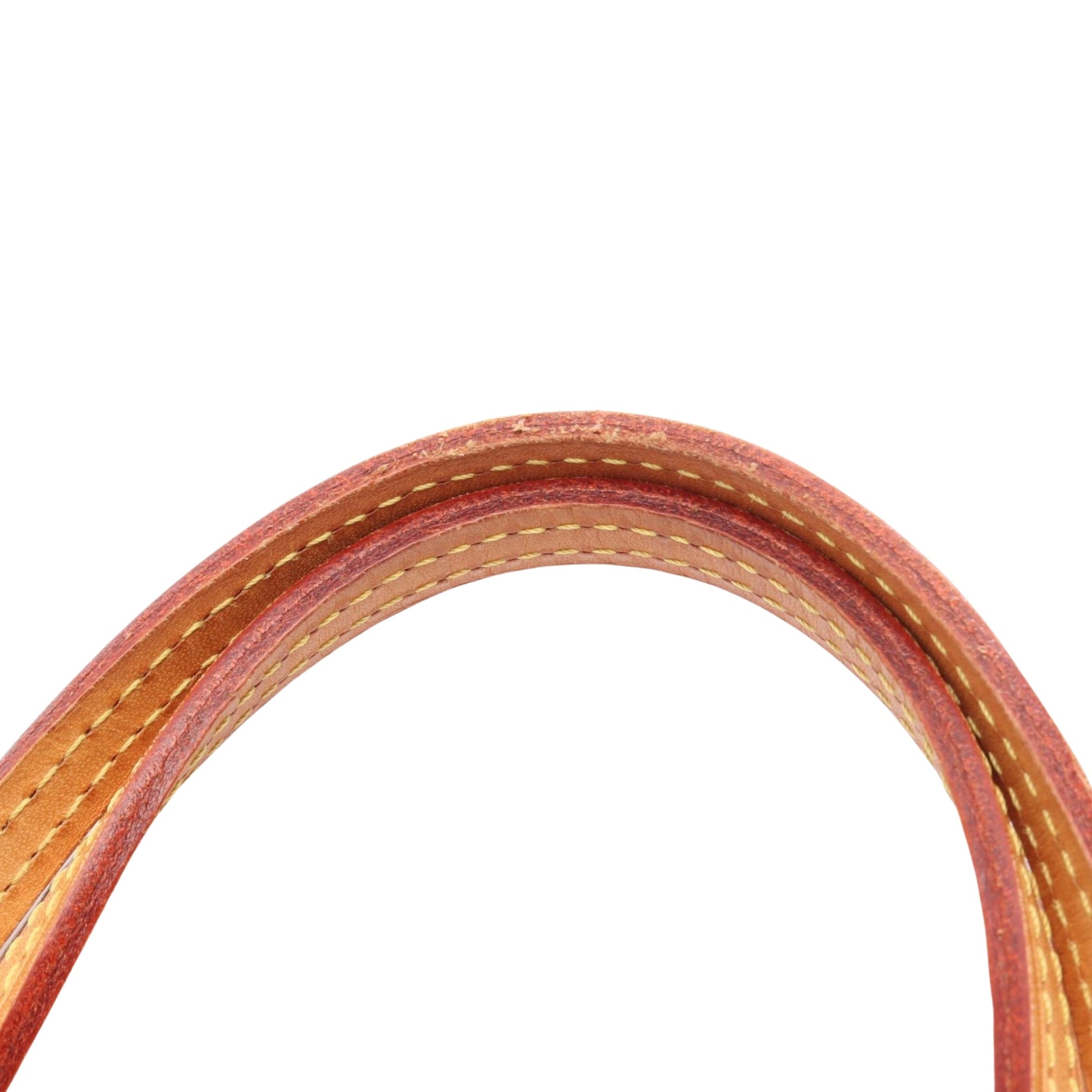 Louis Vuitton Monogram Neverfull PM