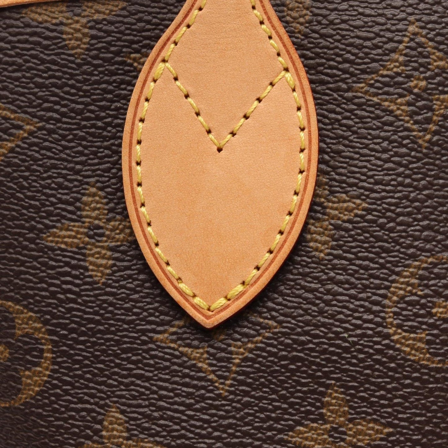 Louis Vuitton Monogram Neverfull PM
