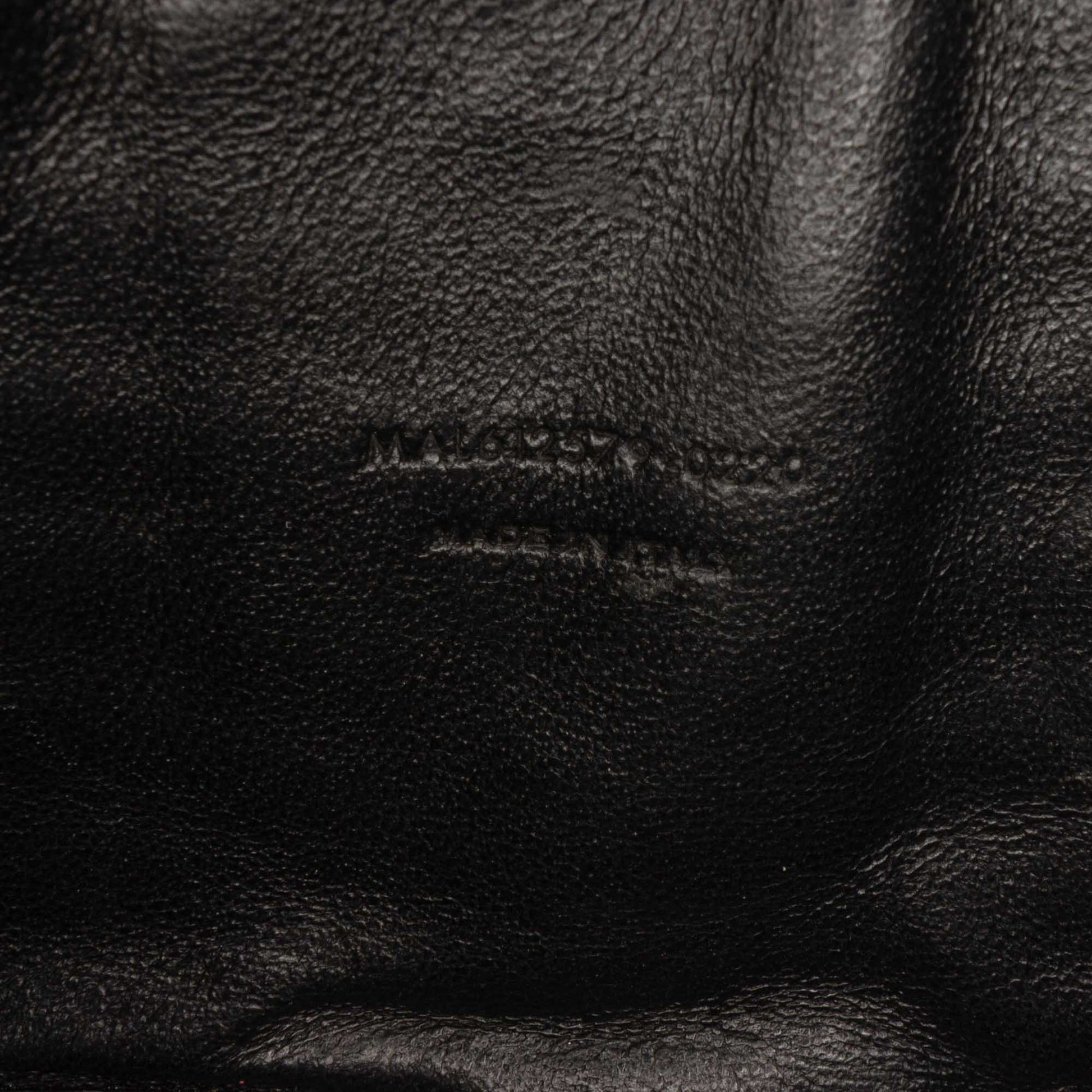 Saint Laurent Mini Grain de Poudre Monogram Lou Camera Bag