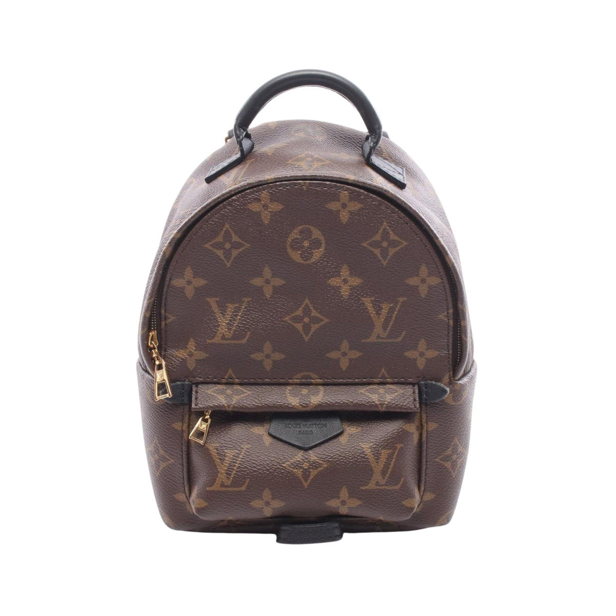 Louis Vuitton Monogram Mini Palm Springs