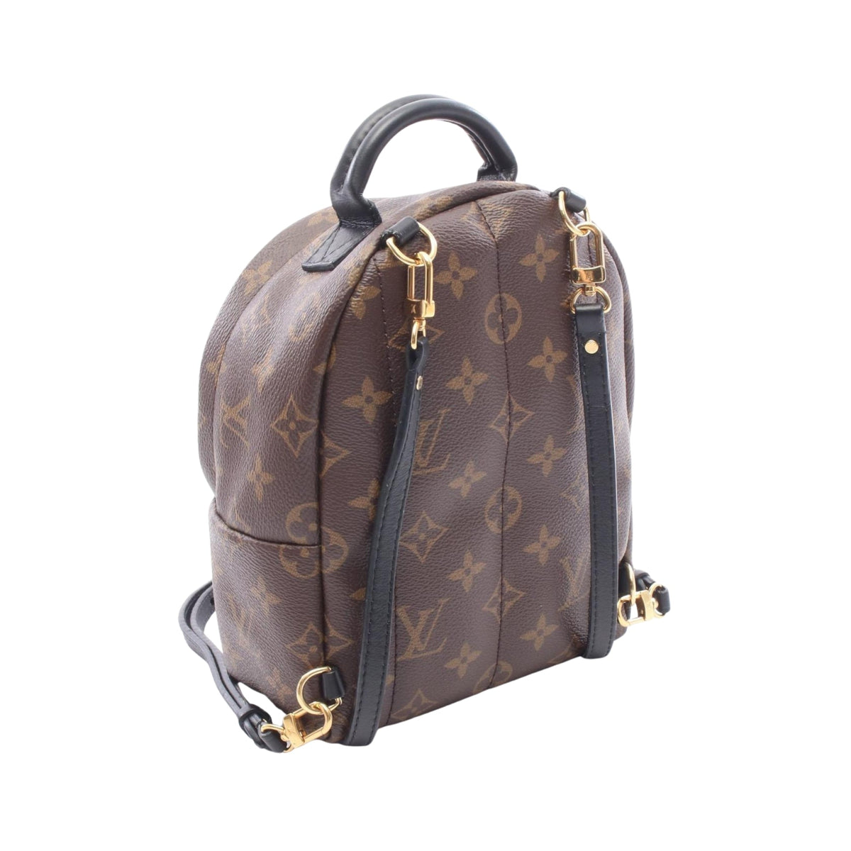 Louis Vuitton Monogram Mini Palm Springs