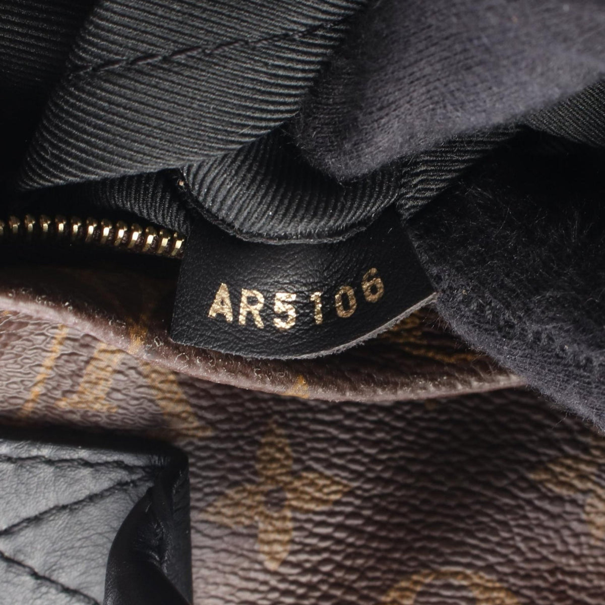 Louis Vuitton Monogram Mini Palm Springs