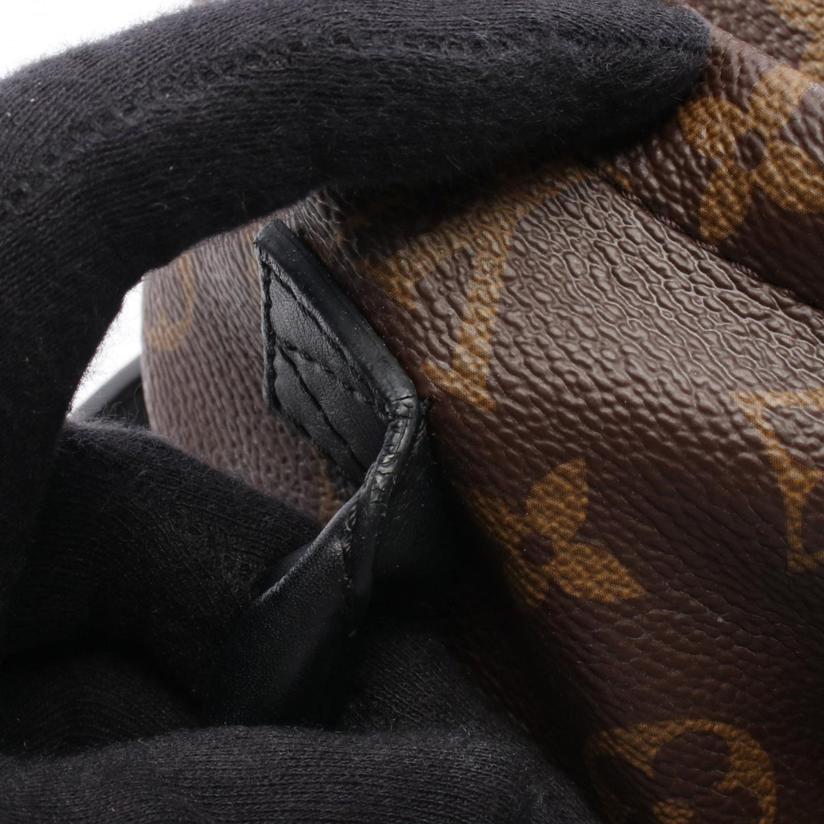 Louis Vuitton Monogram Mini Palm Springs