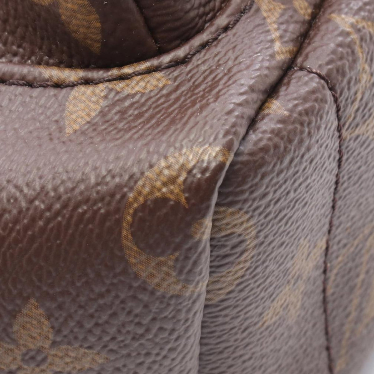 Louis Vuitton Monogram Mini Palm Springs