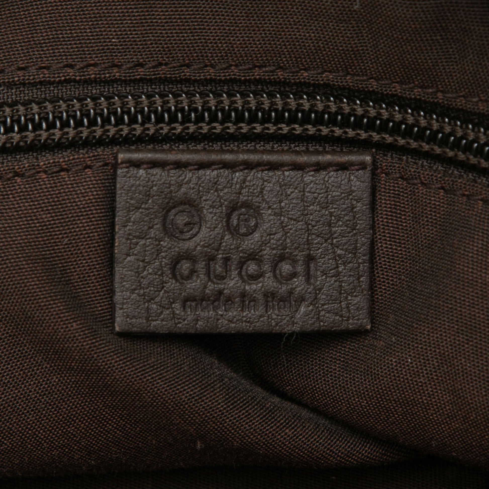 GG Canvas Web Handbag