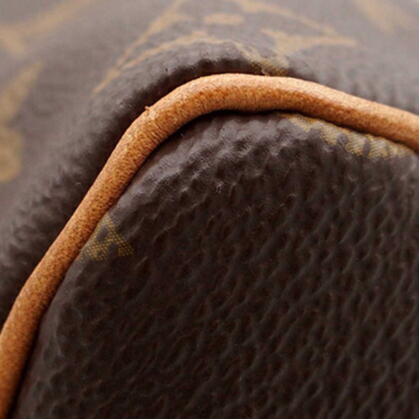 Louis Vuitton Monogram Speedy 25