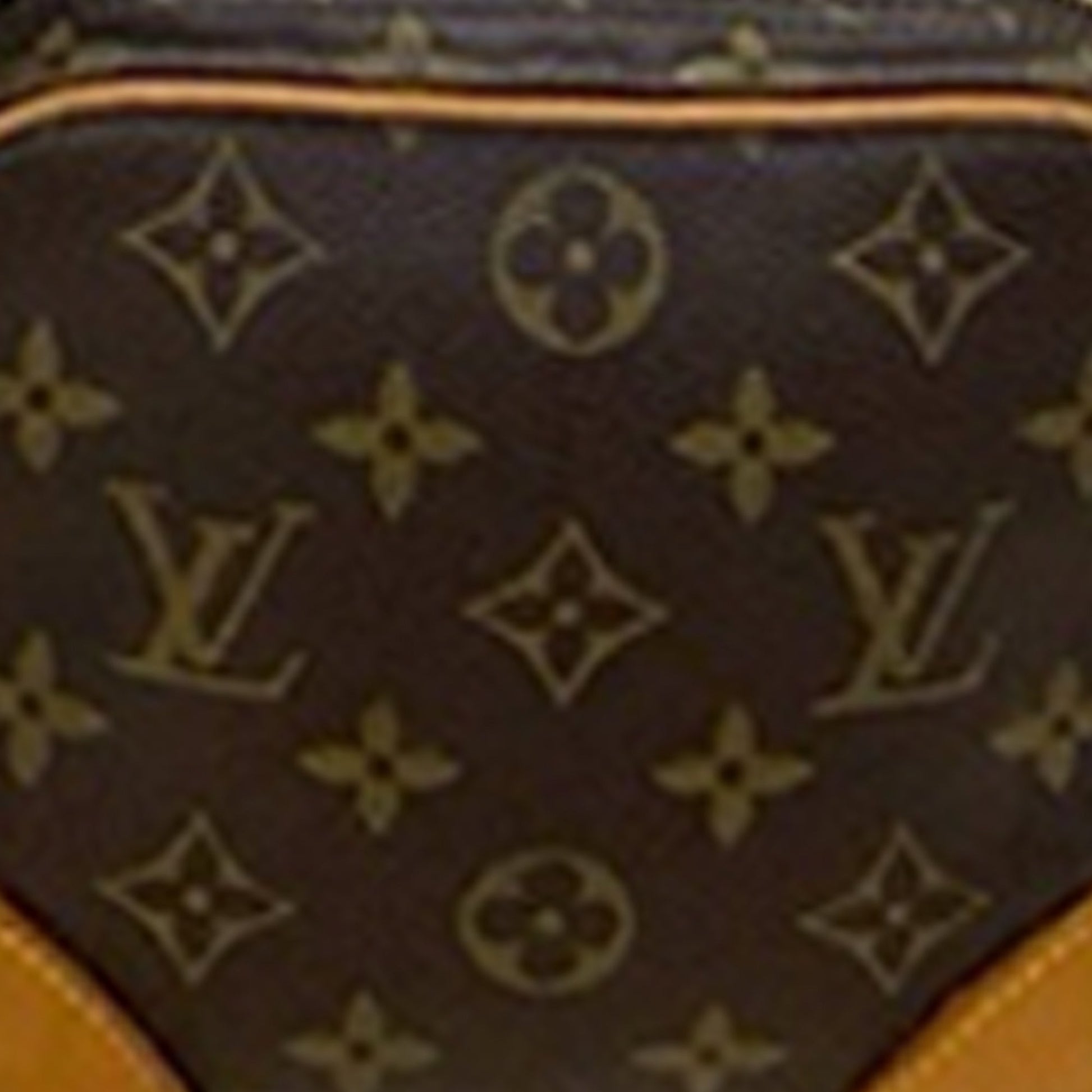 Louis Vuitton Monogram Amazone