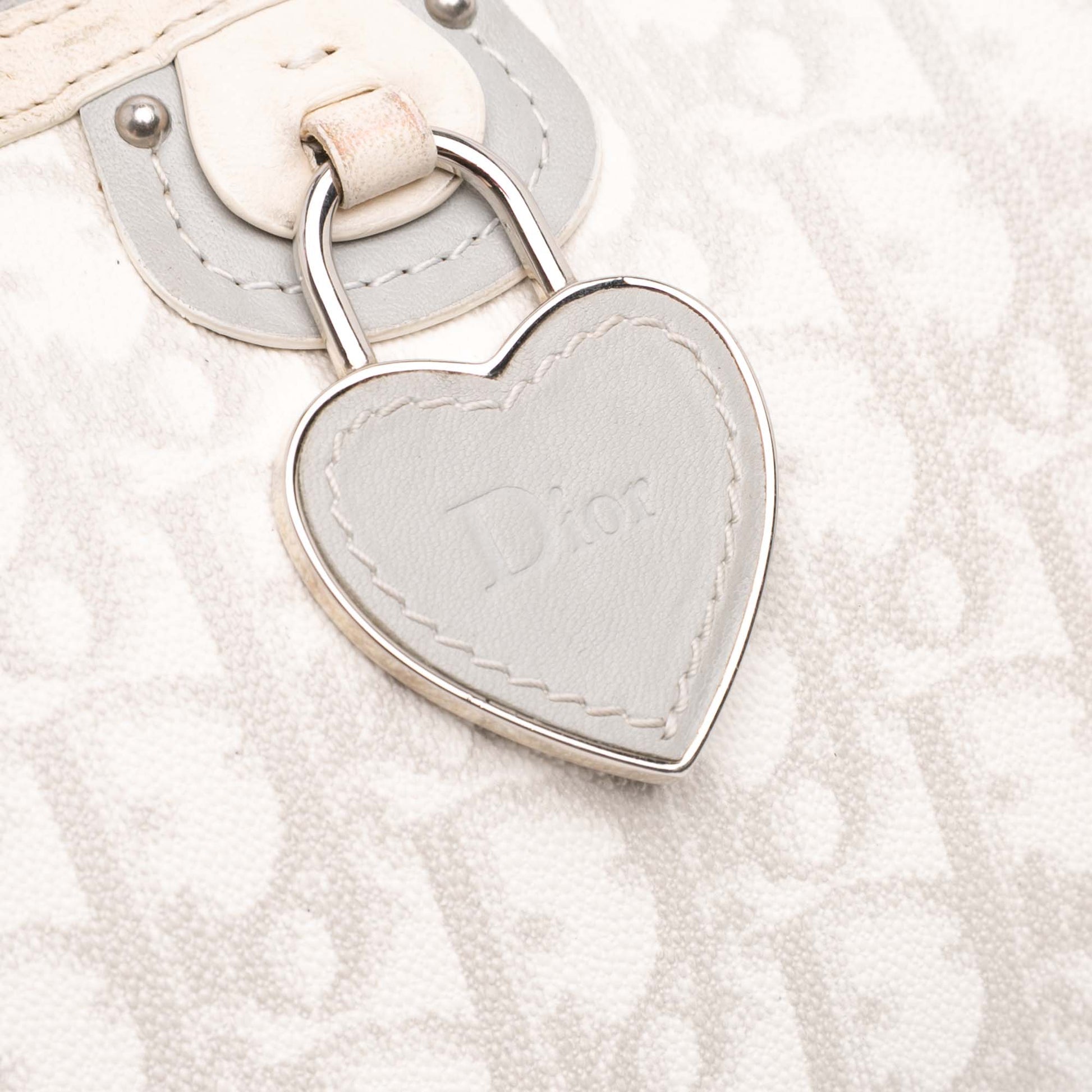 Dior Diorissimo Trotter Coated Canvas Romantique Crossbody