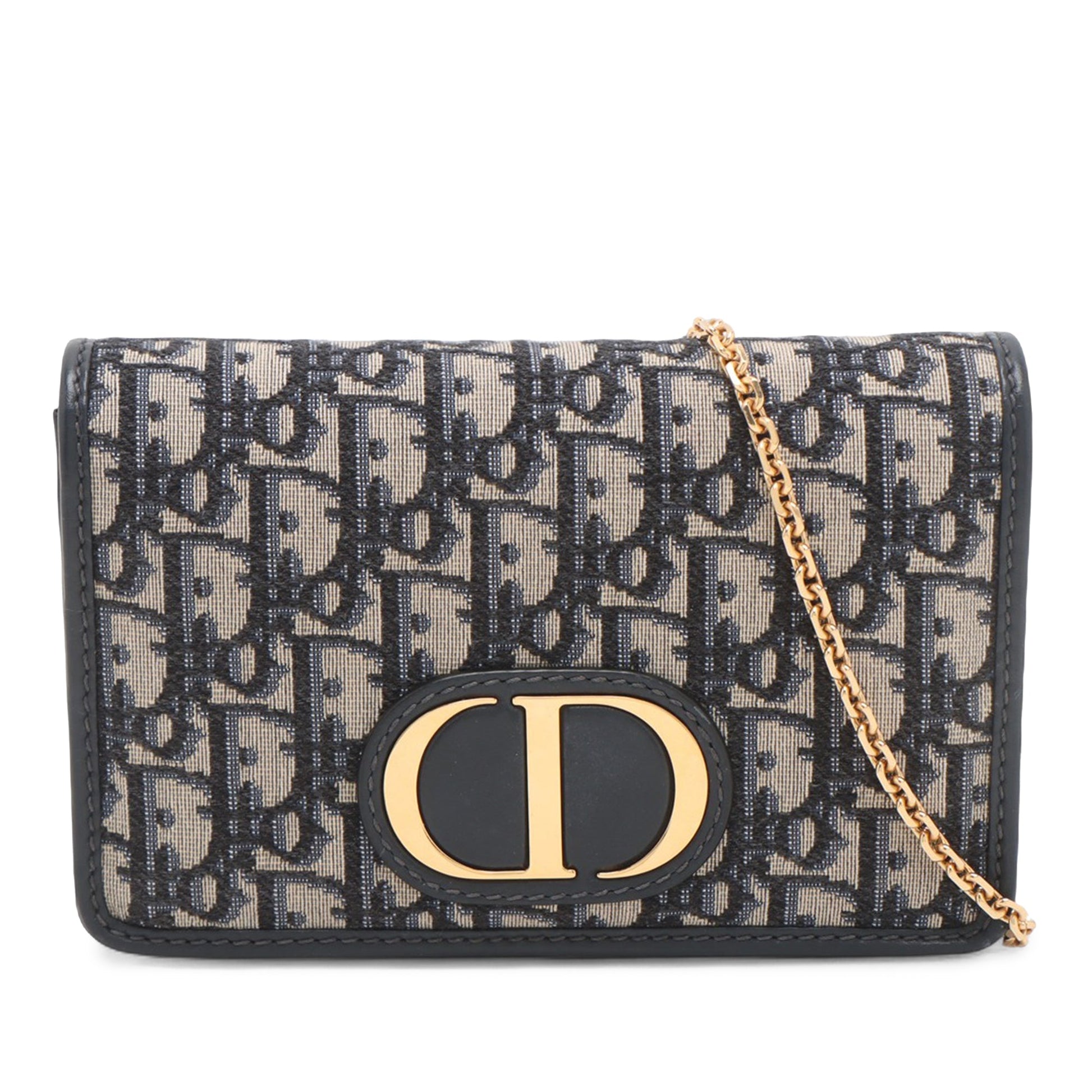 Dior Oblique Canvas 30 Montaigne 2 in 1 Pouch