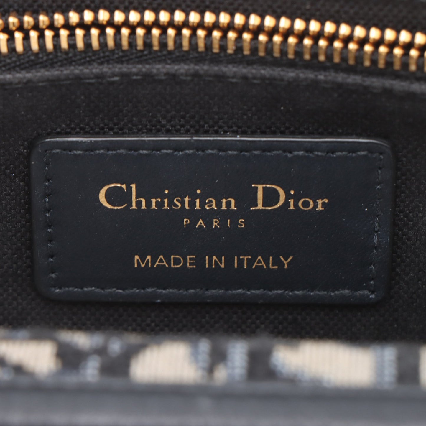 Dior Oblique Canvas 30 Montaigne 2 in 1 Pouch