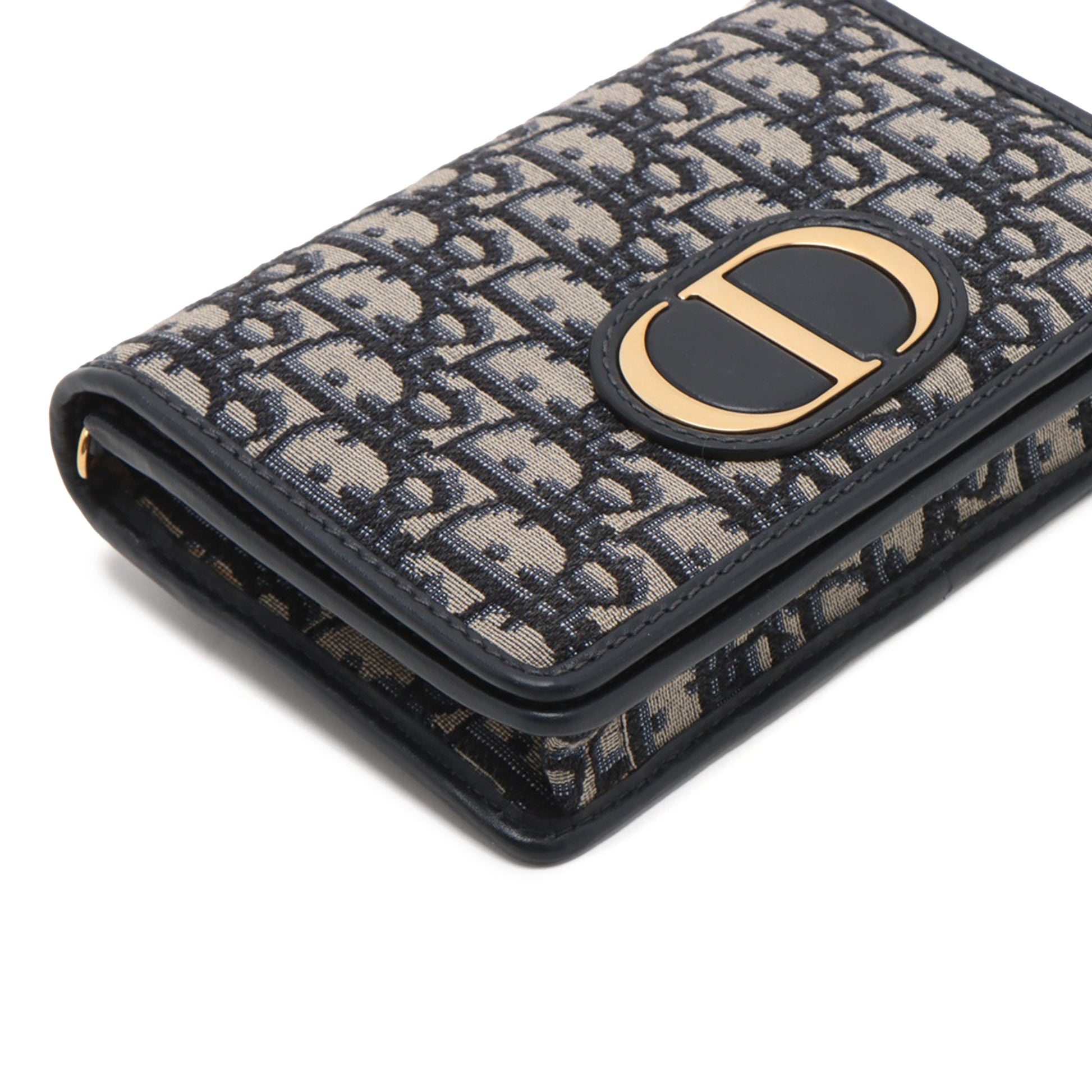 Dior Oblique Canvas 30 Montaigne 2 in 1 Pouch