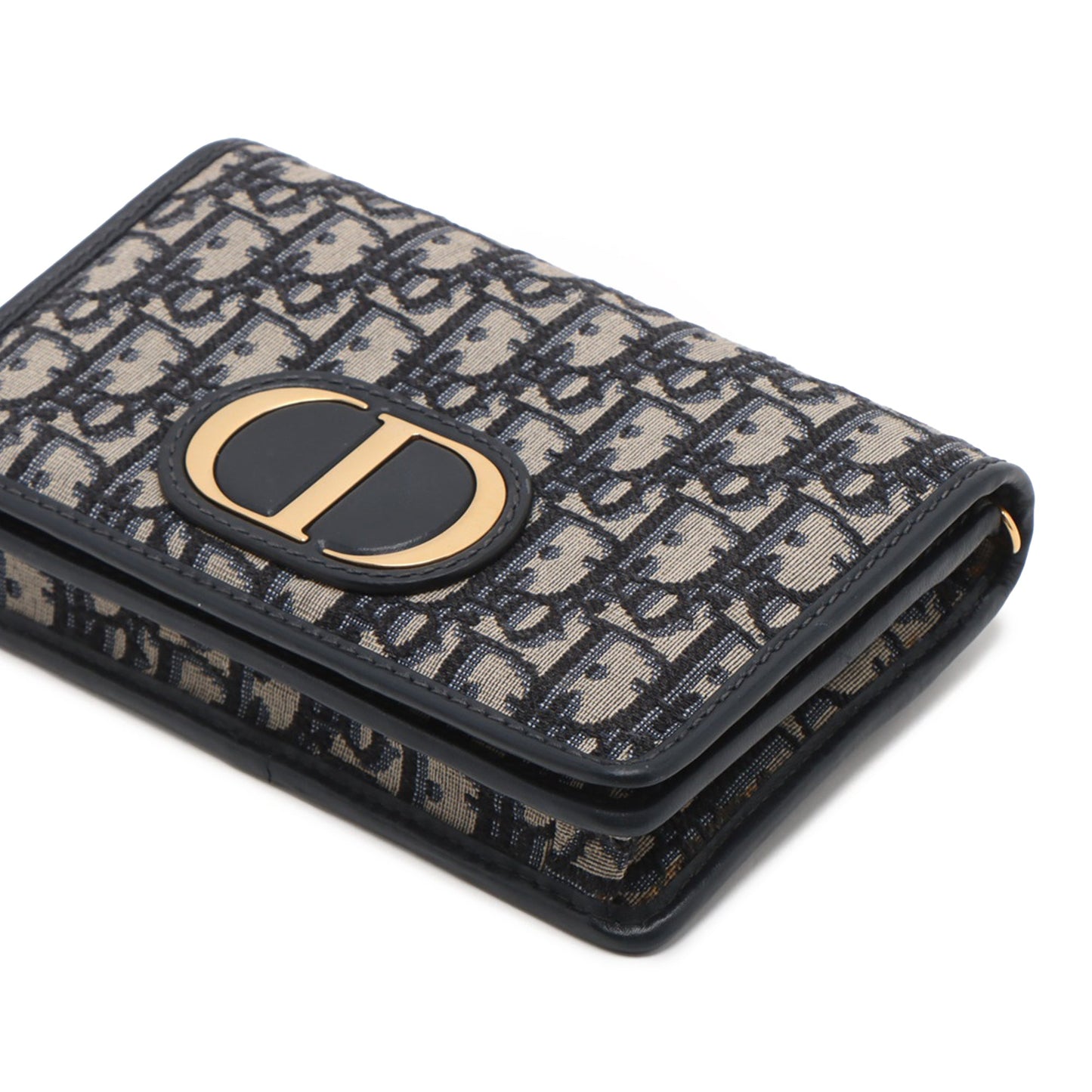 Dior Oblique Canvas 30 Montaigne 2 in 1 Pouch