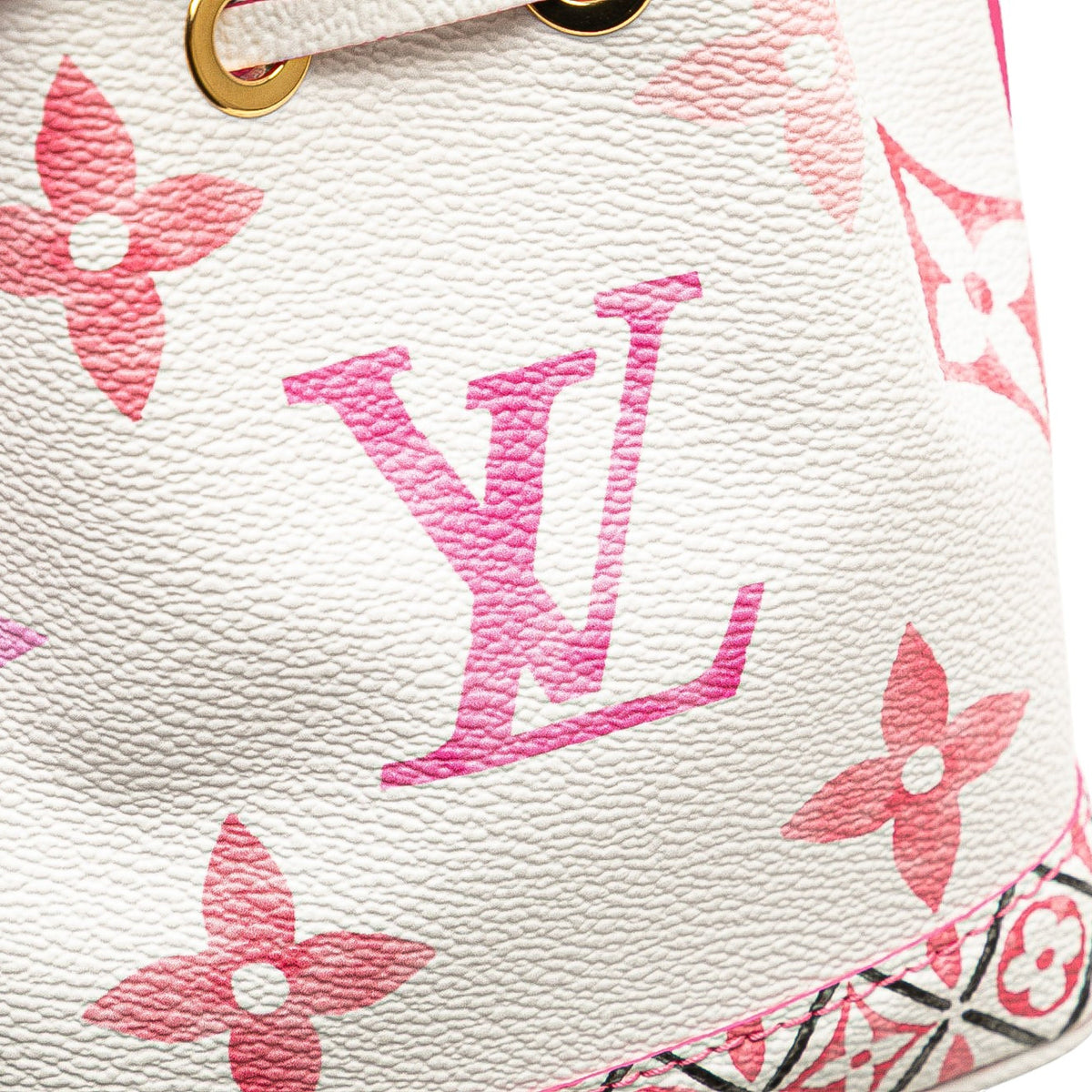 Louis Vuitton Monogram Watercolor Giant By the Pool Nano Noe
