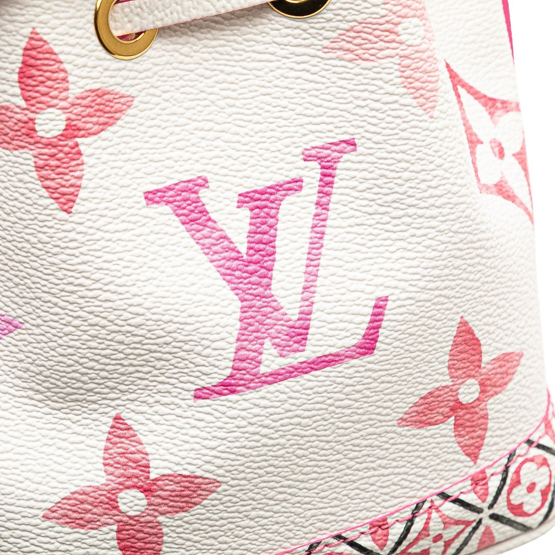 Louis Vuitton Monogram Watercolor Giant By the Pool Nano Noe