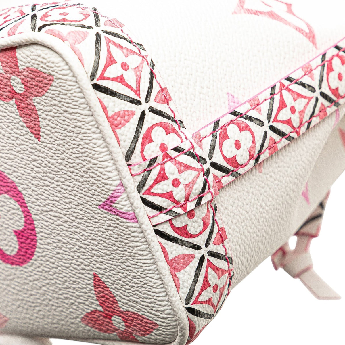 Louis Vuitton Monogram Watercolor Giant By the Pool Nano Noe