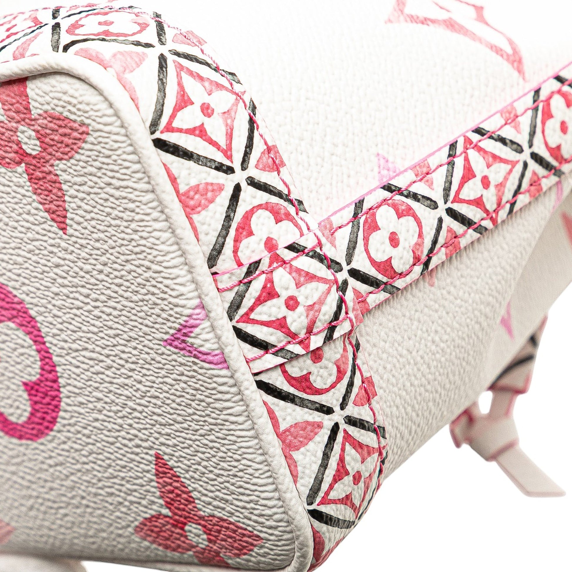Louis Vuitton Monogram Watercolor Giant By the Pool Nano Noe