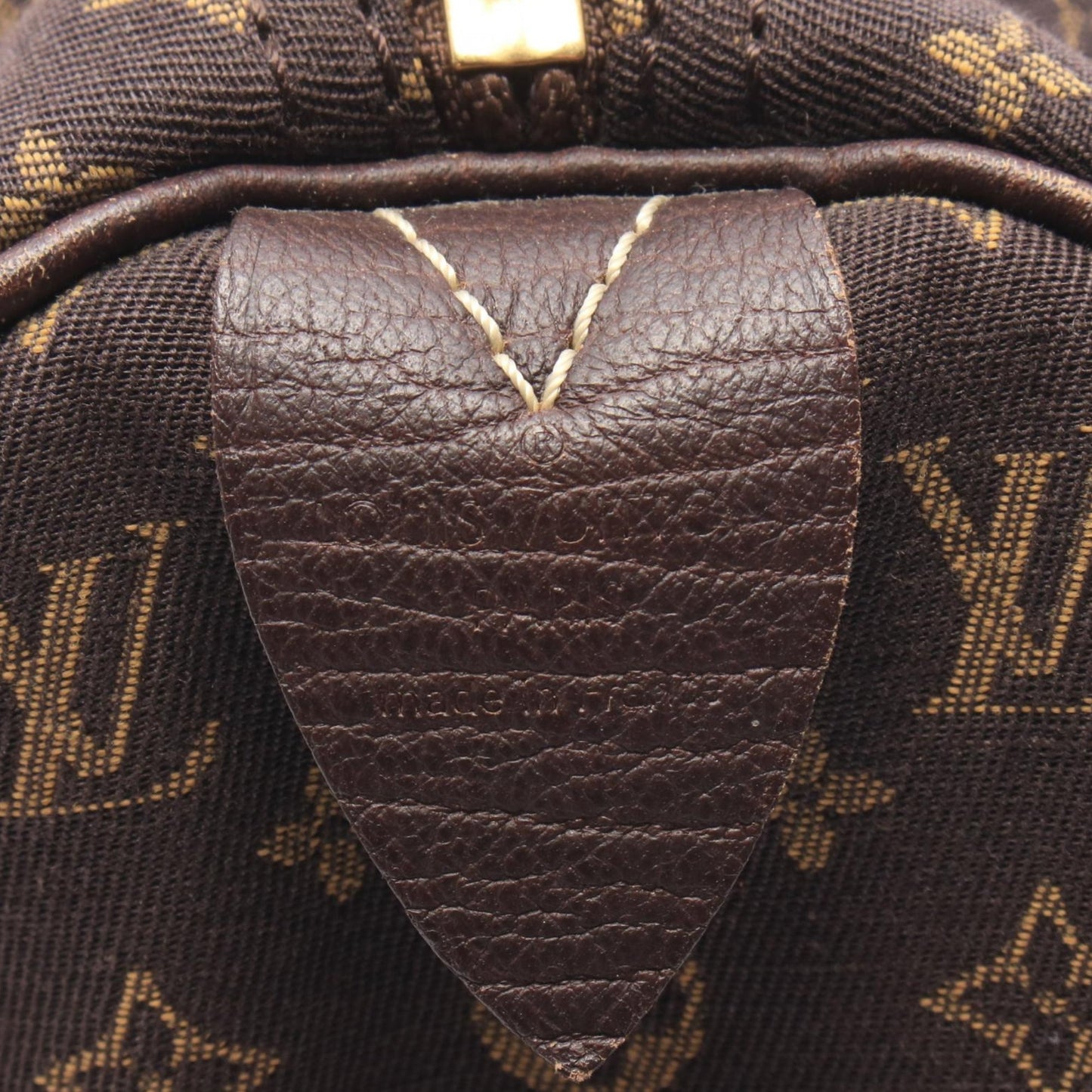 Louis Vuitton Monogram Mini Lin Speedy 30