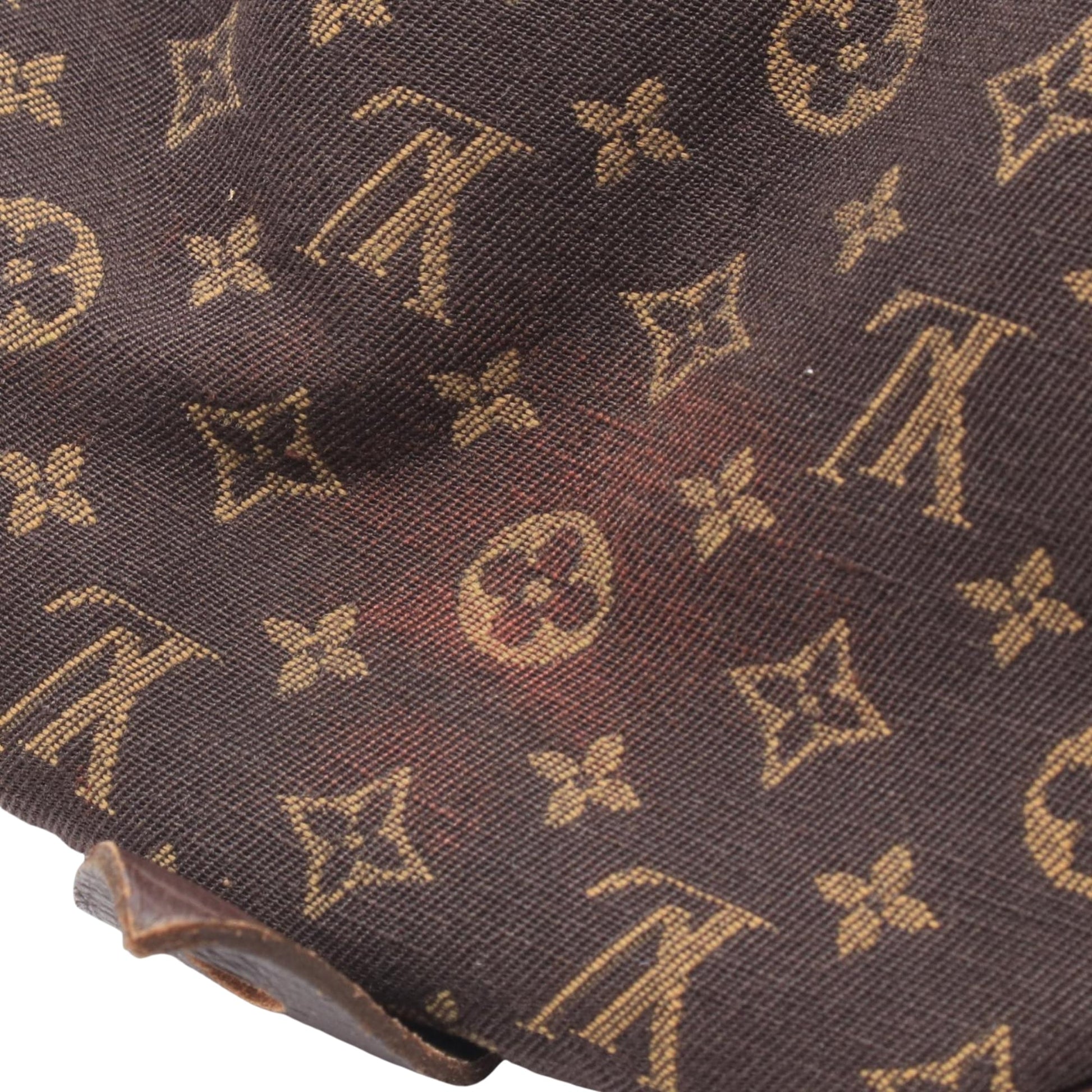 Louis Vuitton Monogram Mini Lin Speedy 30