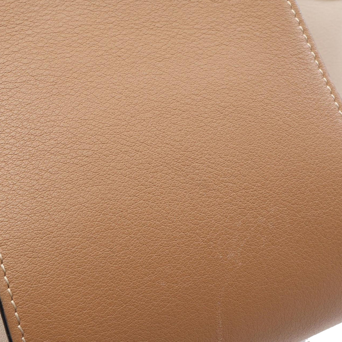 LOEWE Small Tricolor Soft Grained Calfskin Hammock Bag