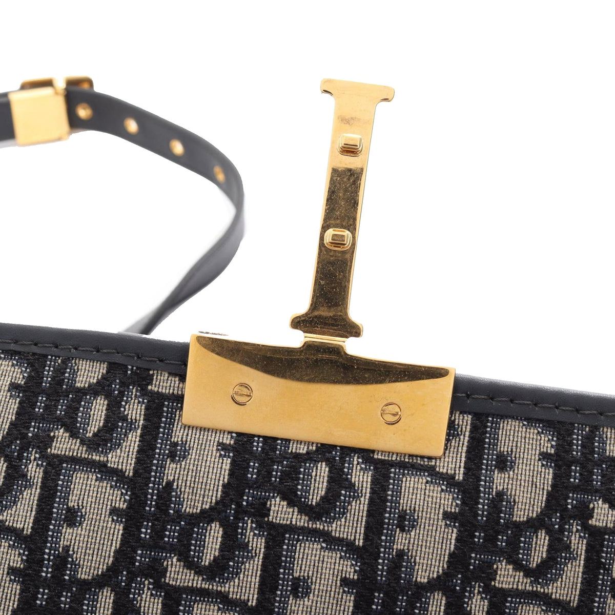 Dior Oblique Canvas 30 Montaigne Flap