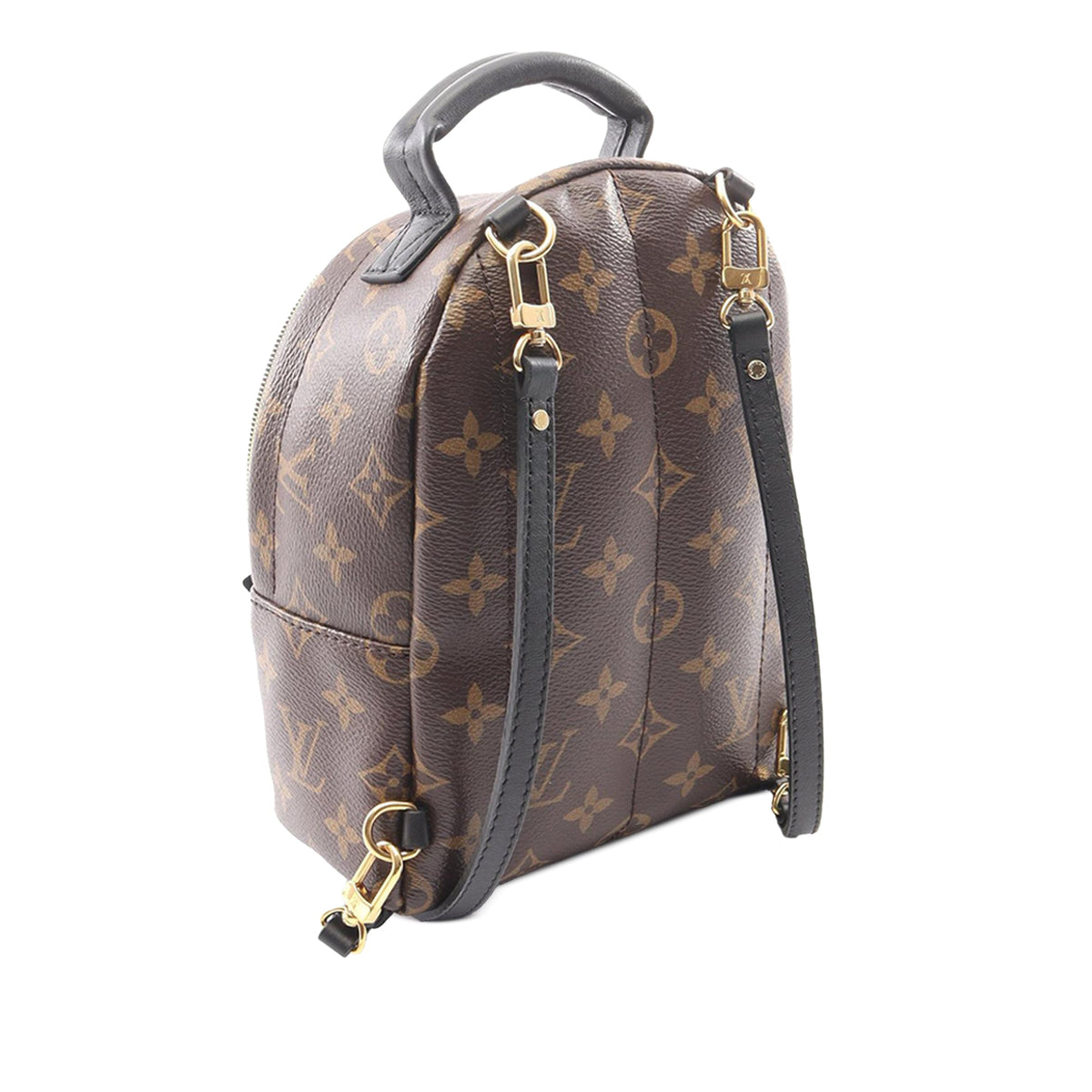 Louis Vuitton Monogram Mini Palm Springs