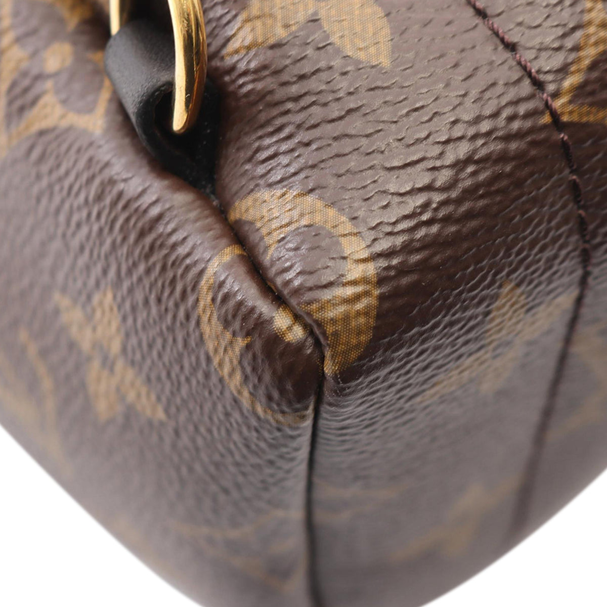 Louis Vuitton Monogram Mini Palm Springs