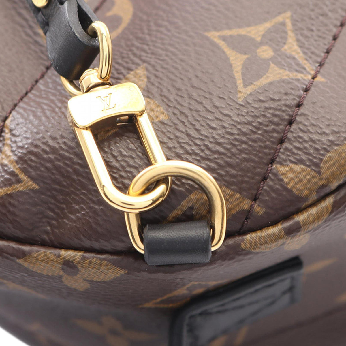 Louis Vuitton Monogram Mini Palm Springs